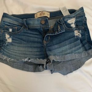 Hollis tee shirts size 5